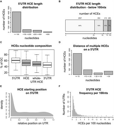 Frontiers Hyperconserved Elements In Human 5UTRs Shape Essential